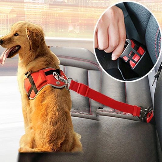 Laisse pour chien spécial ceinture de sécurité