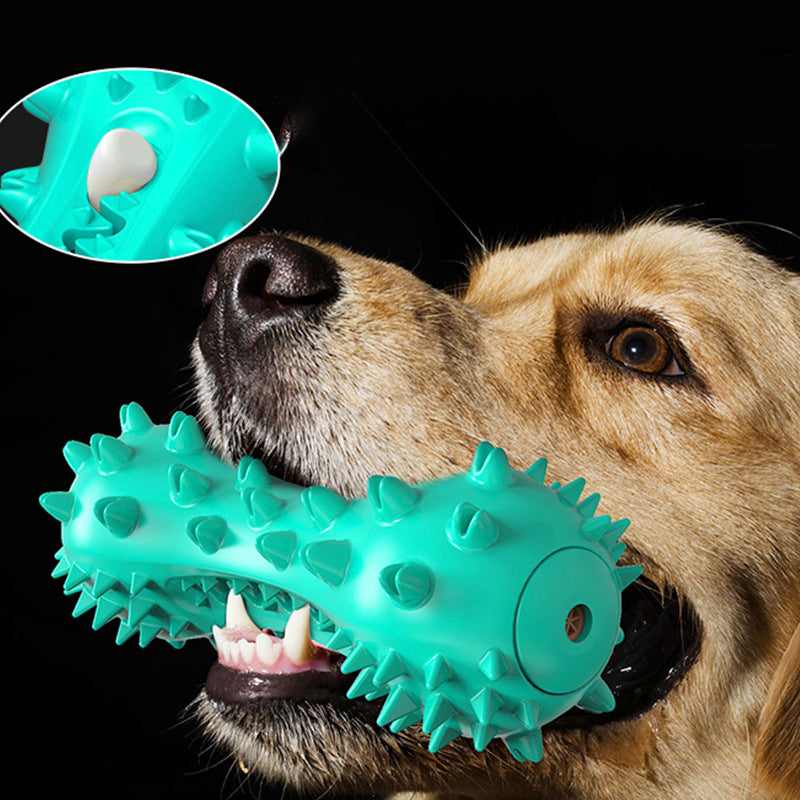 Brosse à dent jouet pour chien
