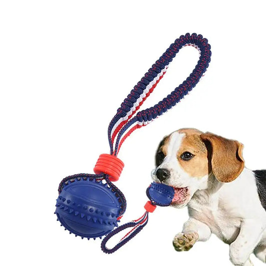 Jouet pour chien balle avec corde